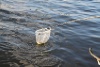 Pictures 046